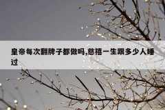 皇帝每次翻牌子都做吗,慈禧一生跟多少人睡过