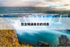 包含杨澜身价的词条