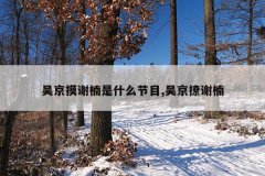 吴京摸谢楠是什么节目,吴京撩谢楠