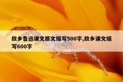 故乡鲁迅课文原文缩写500字,故乡课文缩写600字