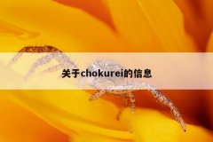关于chokurei的信息