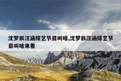 沈梦辰汪涵综艺节目叫啥,沈梦辰汪涵综艺节目叫