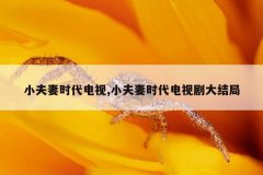 小夫妻时代电视,小夫妻时代电视剧大结局