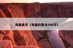 有趣集市（有趣的集会500字）