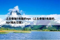 上古卷轴5有趣的npc（上古卷轴5有趣的npc随从位置