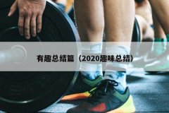 有趣总结篇（2020趣味总结）