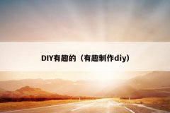 DIY有趣的（有趣制作diy）