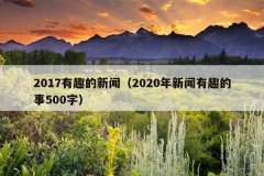 2017有趣的新闻（2020年新闻有趣的事500字）