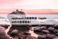 applewatch有趣表盘（applewatch自带表盘）
