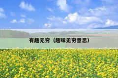 有趣无穷（趣味无穷意思）