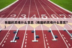 有趣的灵魂什么意思（有趣的灵魂什么意思?）