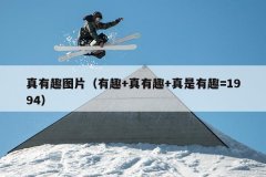 真有趣图片（有趣+真有趣+真是有趣=1994）