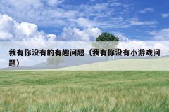 我有你没有的有趣问题（我有你没有小游戏问题