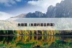 有趣菌（有趣的菌菇教案）