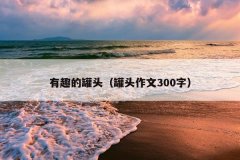 有趣的罐头（罐头作文300字）