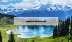 有趣的冬节的简单介绍