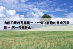 有趣的灵魂万里挑一上一句（有趣的灵魂万里挑