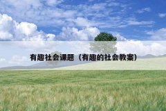 有趣社会课题（有趣的社会教案）