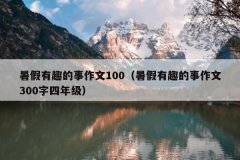 暑假有趣的事作文100（暑假有趣的事作文300字四