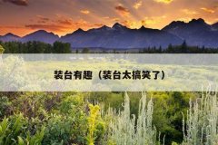 装台有趣（装台太搞笑了）