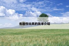 有趣性玩具的简单介绍