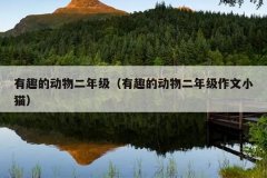 有趣的动物二年级（有趣的动物二年级作文小猫