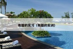 有趣的实习（有趣的实训）