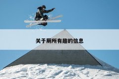 关于厕所有趣的信息