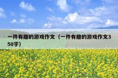 一件有趣的游戏作文（一件有趣的游戏作文350字