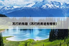 苏打的有趣（苏打的用途有哪些）