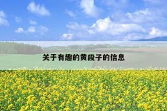 关于有趣的黄段子的信息