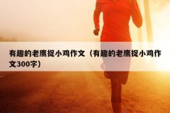 有趣的老鹰捉小鸡作文（有趣的老鹰捉小鸡作文