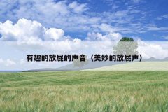 有趣的放屁的声音（美妙的放屁声）