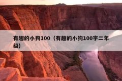 有趣的小狗100（有趣的小狗100字二年级）