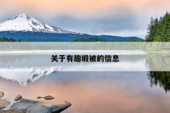 关于有趣缎被的信息