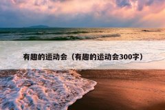 有趣的运动会（有趣的运动会300字）