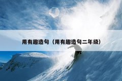 用有趣造句（用有趣造句二年级）