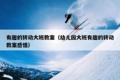 有趣的转动大班教案（幼儿园大班有趣的转动教