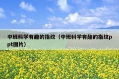 中班科学有趣的指纹（中班科学有趣的指纹ppt图