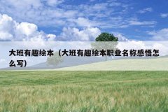 大班有趣绘本（大班有趣绘本职业名称感悟怎么