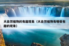 大自然植物的有趣现象（大自然植物有哪些有趣