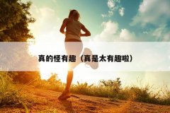 真的怪有趣（真是太有趣啦）