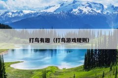 打鸟有趣（打鸟游戏规则）