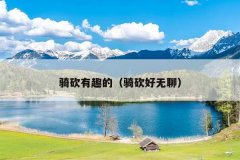 骑砍有趣的（骑砍好无聊）