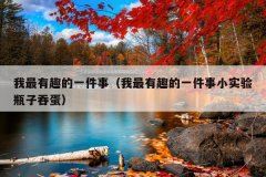我最有趣的一件事（我最有趣的一件事小实验瓶