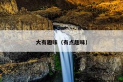 大有趣味（有点趣味）