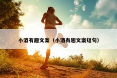 小酒有趣文案（小酒有趣文案短句）