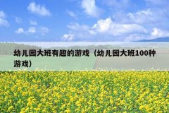 幼儿园大班有趣的游戏（幼儿园大班100种游戏）