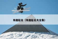 有趣起名（有趣起名大全集）