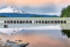 中班教案有趣的表情（中班有趣的表情教案免费